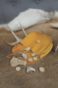 How To Cut Antlers For Buttons Image